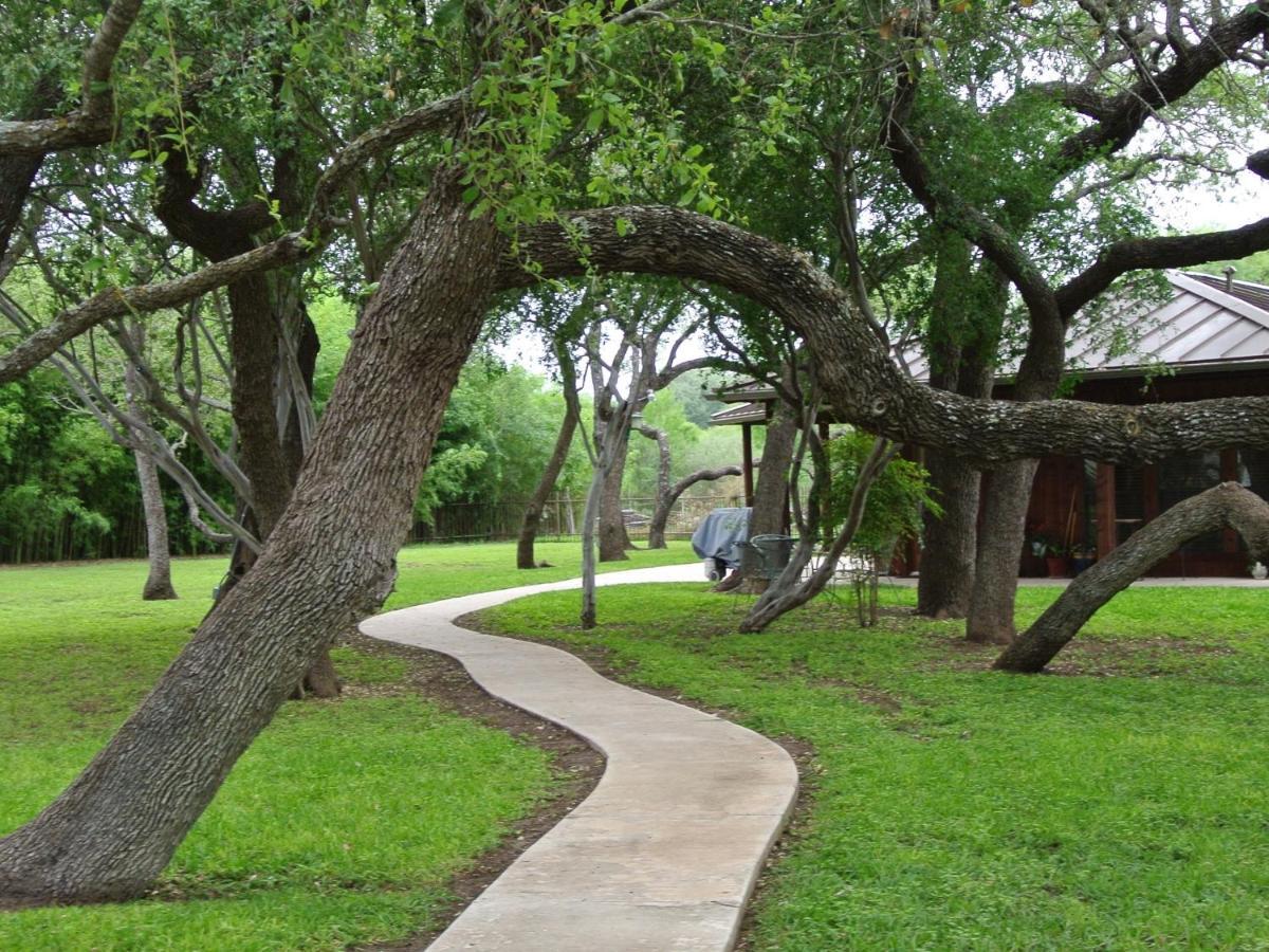 Live Oaks Bed And Breakfast Uvalde Exterior photo
